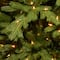 9ft. Pre-Lit PowerConnect™ Princeton Fraser Fir Artificial Christmas Tree, Dual Color® LED Lights